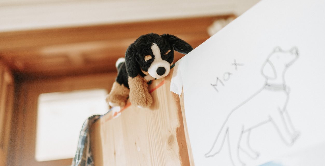 Hundezeichnung mit Plüschhund